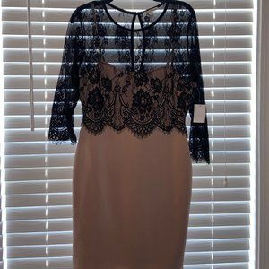 NWT Black Lace Tight Charlotte Rouse Dress Size XL